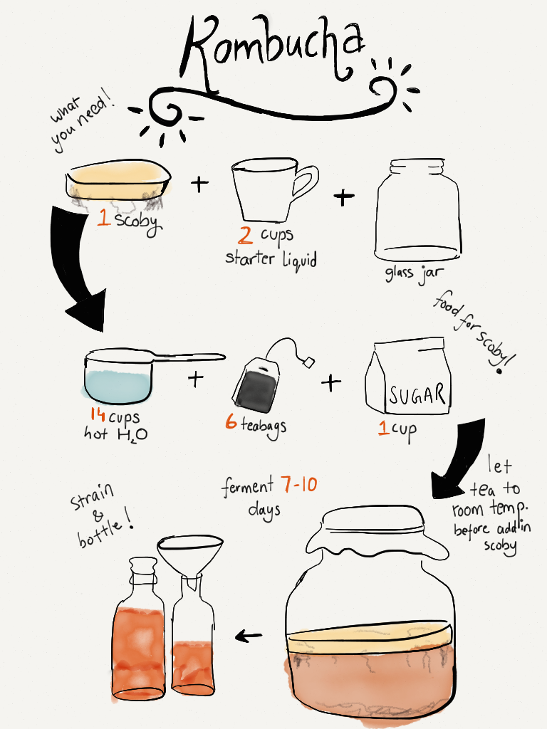 Kombucha recipe